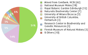 Image result for Oenanthe mildbraedii