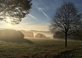 Wandern Im Morgen Nebel Im Westerwald Typisch Westerwald Wandern Im Westerwald Outdoor Westerwald Wandern Na Wanderung Natur Erleben Naturschutzgebiet