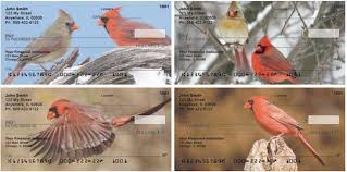 Cardinals Personal Checks Checks Different Birds Bird