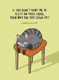 The Reality Of Having A Cat We Love Cats And Kittens Cat Jokes Cats Illustration Cool Cats