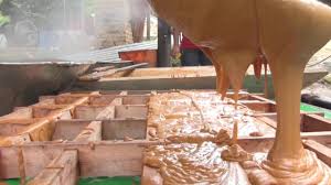 Resultado de imagen para panela produccion