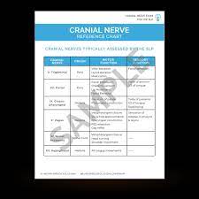 Cranial Nerve Exam For The Slp — Neuro Speech Solutions