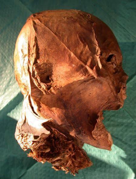 Lost Kings: DNA Fails to Illuminate Royal Mystery | Live Science