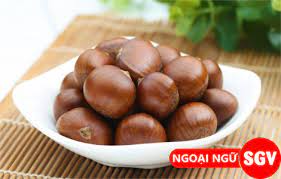 Hạt Dẻ Tiếng Anh La Gi