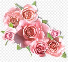 Download free flower png with transparent background. Pink Flowers Background