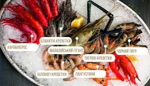 A giant prawn that has a bright, raw red shell also known as scarlet shrimp or cardinal prawns Shrimps Encyclopedia From Carabineros To Malaysian Giants Gastrofamily