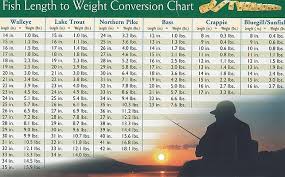 fish weight chart information