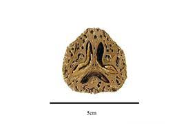 Image result for Panda oleosa