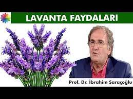 Lavanta Lavanta Cayi Lavanta Cicegi Faydalari Youtube Pandora Screenshot