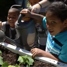 A special garden in Providence