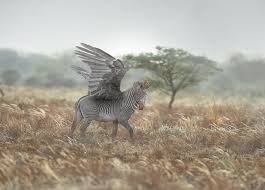 Image result for george logan composite images