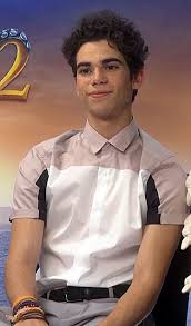 Cameron boyce became a disney sensation after starring in the disney tv series jessie. Cameron Boyce