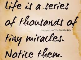 Life Is A Series Of Thousands Of Tiny Miracles Quotes Pin By Stephanie Marie On Mindfulness Wise Words Quotes Inspirational Quotes Motivation Encouragement Quotes