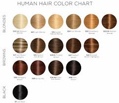 Amazing Hair Coloring Good Ideas Totaltravel Us