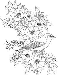 900 Coloring Book Animals Flowers 2018 Ideas Coloring Pages Coloring Books Colouring Pages