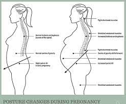When does back pain during pregnancy start and end? Lower Back Pain In Pregnancy Barangaroo Physio