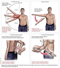 Image result for Drop Arm Test