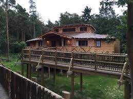 Discover treehouse and enjoy the different products. Treehouse Picture Of Center Parcs Elveden Forest Tripadvisor