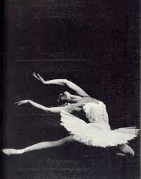Black And White Swan Ballet Maya Plisetskaya As White Swan Ballet Beautiful Ballet Photography Ballet Photos