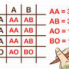 The punnett square is a table in which all of the possible outcomes for a genetic cross between two individuals with known genotypes are given. 1