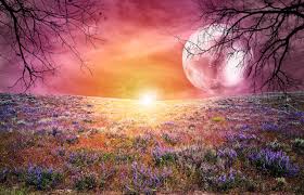Sunset color desktop #15839 end more at walldiskpaper. Desktop Wallpapers Nature Fantasy Moon Sunrise And Sunset Grass