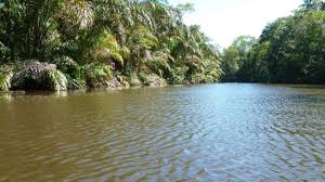 Costa rica ist ein land, in dem viel für die natur getan wird. Vorsicht In Costa Rica Vor Bewaffneten Raububerfallen Reise