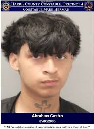 Constables Nab Hit And Run Suspect