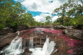 Caño cristales, meta department, colombia. Die 5 Besten Kolumbien Cano Cristales Touren 2021 Viator