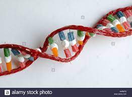 dna modell doppelhelix bonbons lakritz marshmallows stockfoto dna lakritz modell