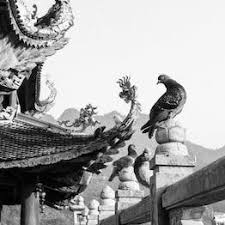 天津丰台大兴朝阳番禺白云东莞(@mjdas00)