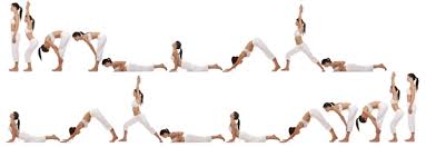 yoga asanas that every beginner should