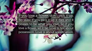 Read story i love flowers because of you by pinkyzarlay (pinky zarlay) with 4,275 reads. Osho Quote If You Love A Flower Don T Pick It Up Because If You Pick It Up It Dies And It Ceases To Be What You Love So If You L