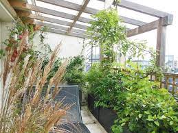 Le ciste est un arbuste vraiment facile à vivre. Balcon Plein Sud Plantes Et Amenagement Cote Maison