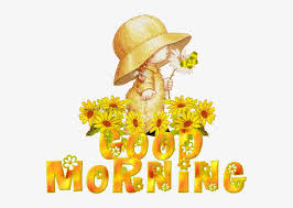 Just imagine these in containers under a tree, or tucked into a landscape that gets sun for only part of the day. Good Morning Wishes With Sun Flowers 582x532 Png Download Pngkit