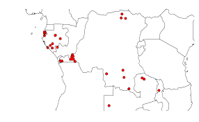 Image result for Platycoryne