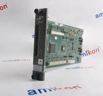 SPAS011| ABB | DCS-Analog Input Module Supplier | Amikon