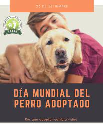 We did not find results for: Asppa Peru Oficial On Twitter Dia Mundial Del Perro Adoptado Adopta Adoptasalvaunavida