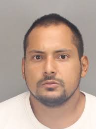 Refrigerator heist sparks neighborhood search