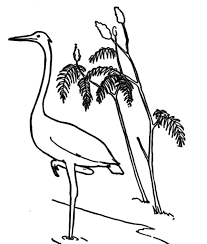 Birds of the african savanna coloring page. Crane Coloring Pages Best Coloring Pages For Kids