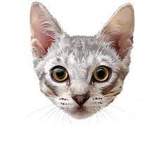 Cat Face Png Clip Art Image Cat Face Art Images Cats And Kittens