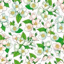 Creating fresh new designs with. Vector Hand Drawn Sketch Illustration Of Apple Tree Branches With Flowers With Opened Closed Blossoms Buds Seamless Pattern Floral Natural Spring Background Backdrop For Fabric Textile Design Ù…ÙˆÙ‚Ø¹ ØªØµÙ…ÙŠÙ…ÙŠ