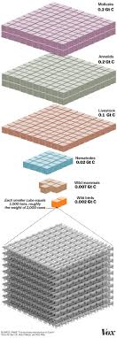 So just how heavy (and light) do we get? Scientists Weighed All Life On Earth It S Mind Boggling Vox