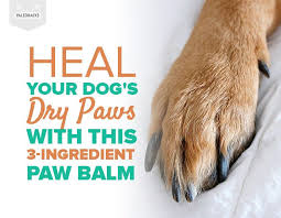 Heal Your Dog S Dry Paws With This 3 Ingredient Paw Balm Dry Paws Paw Balm Dog Paw Balm