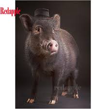 Apakah anda mencari gambar babi png? 53 Gambar Babi Hitam Hd Infobaru