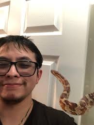 Escaped cornsnake recovered after 3 months