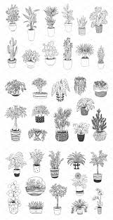 Indoor Plants Plant Tattoo Plant Sketches Plant Drawing