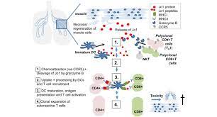 Install the light fixture into the recessed housing by first connecting the fixture's ground wire to the grounding wing nut inside the housing. T Cells In Myositis Arthritis Research Therapy Full Text