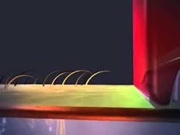 Hair to the test for this no!no! How Does The Nono Work Youtube