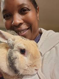 Instagram accounts for pet owners?