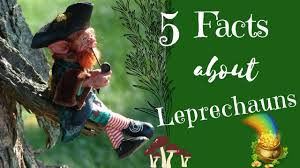 How to use leprechaun in a sentence. 5 Unknown Facts About Leprechauns Faery Folklore Youtube